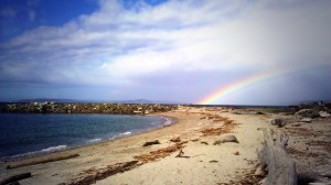 Rainmakers + Solar = Rainbow$